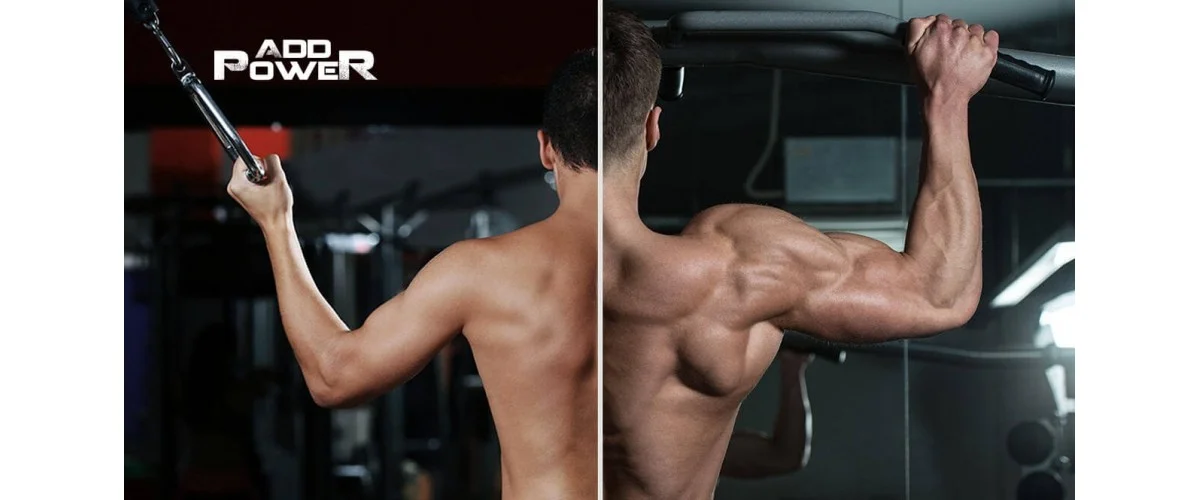 Программа тренировок в тренажерном зале для начинающих